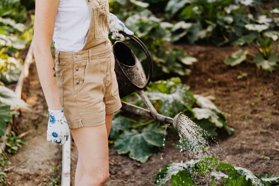 Duurzaam tuinieren met kleurrijke, inheemse planten.