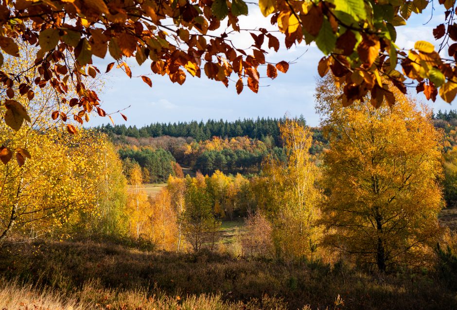 Warme herfstkleuren in natuurlijke badkamer. Warme herfstkleuren in natuurlijke badkamer.